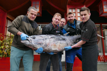 Sakura sushi & steak, Mělník | tuňák obecný neboli modroploutvý (bluefin)